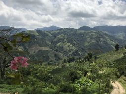 Colombia Natural Laderas Del Tapias - 12oz Bag